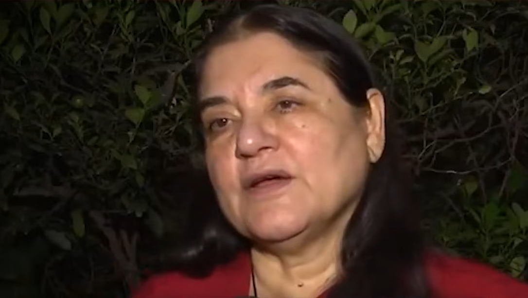 maneka gandhi