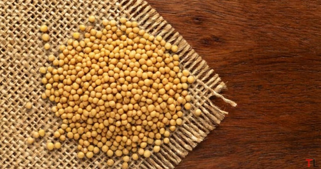 Yellow Mustard seeds(sinapis alba) on a jute cloth